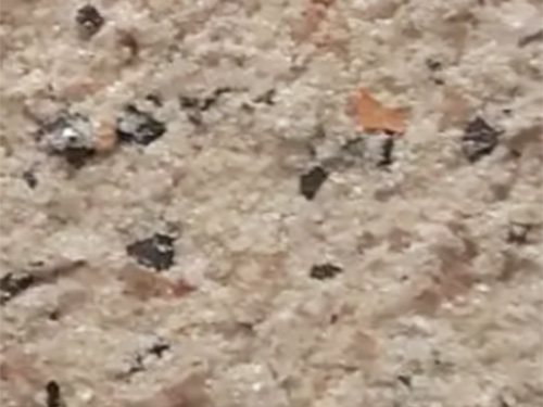 CX-1105